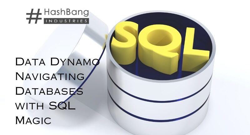 Data Dynamo Navigating Databases with SQL Magic